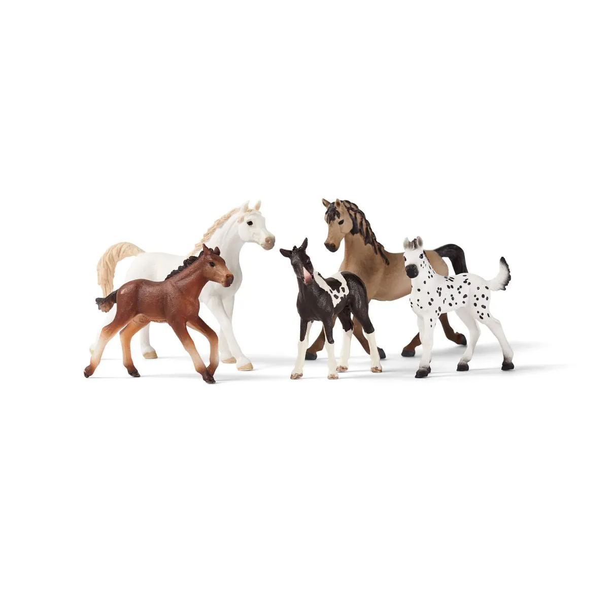 5-Piece Horse Collector Bundle