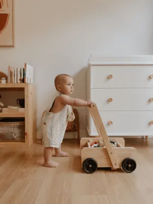 Classic Baby Walker