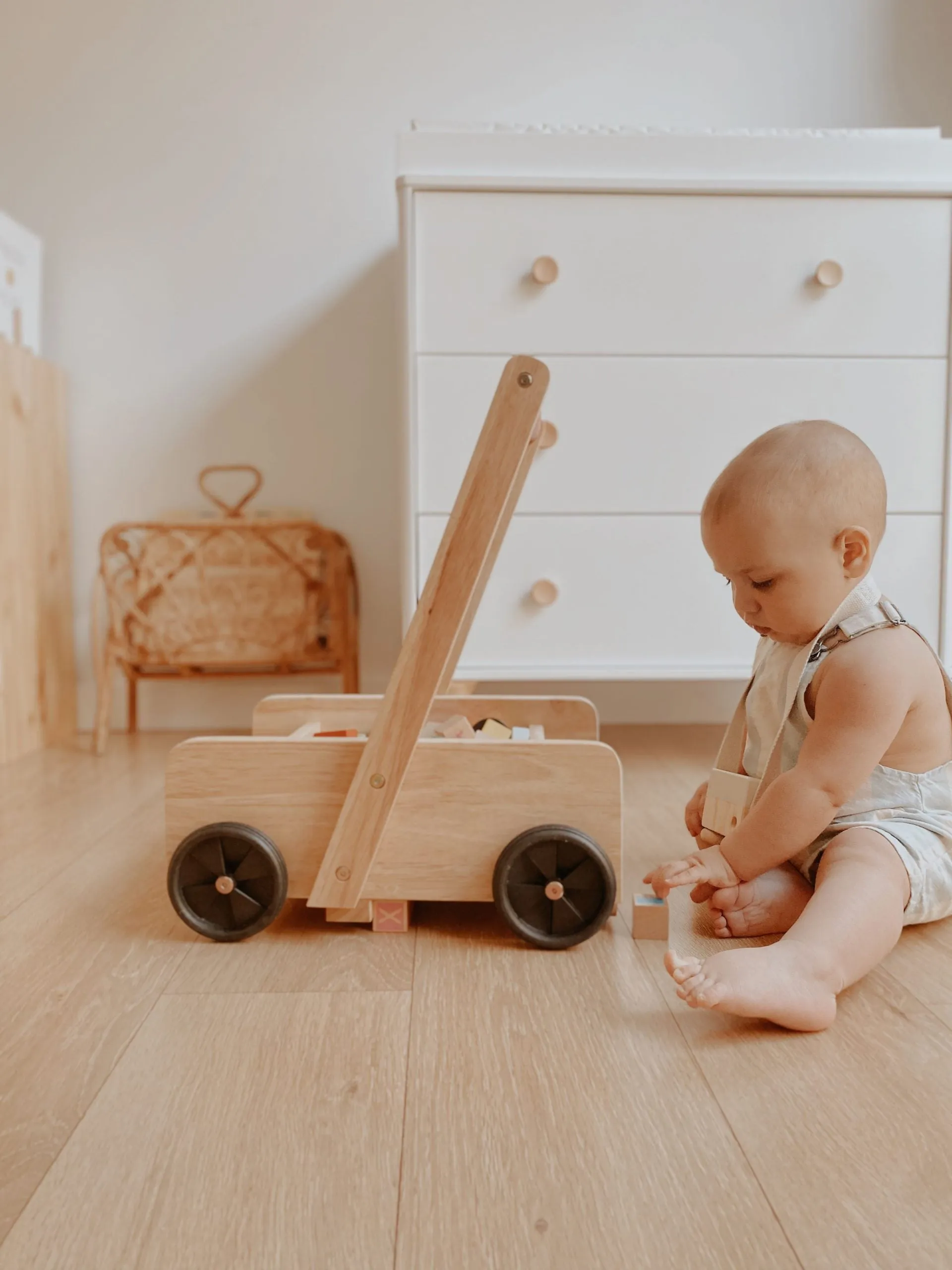Classic Baby Walker