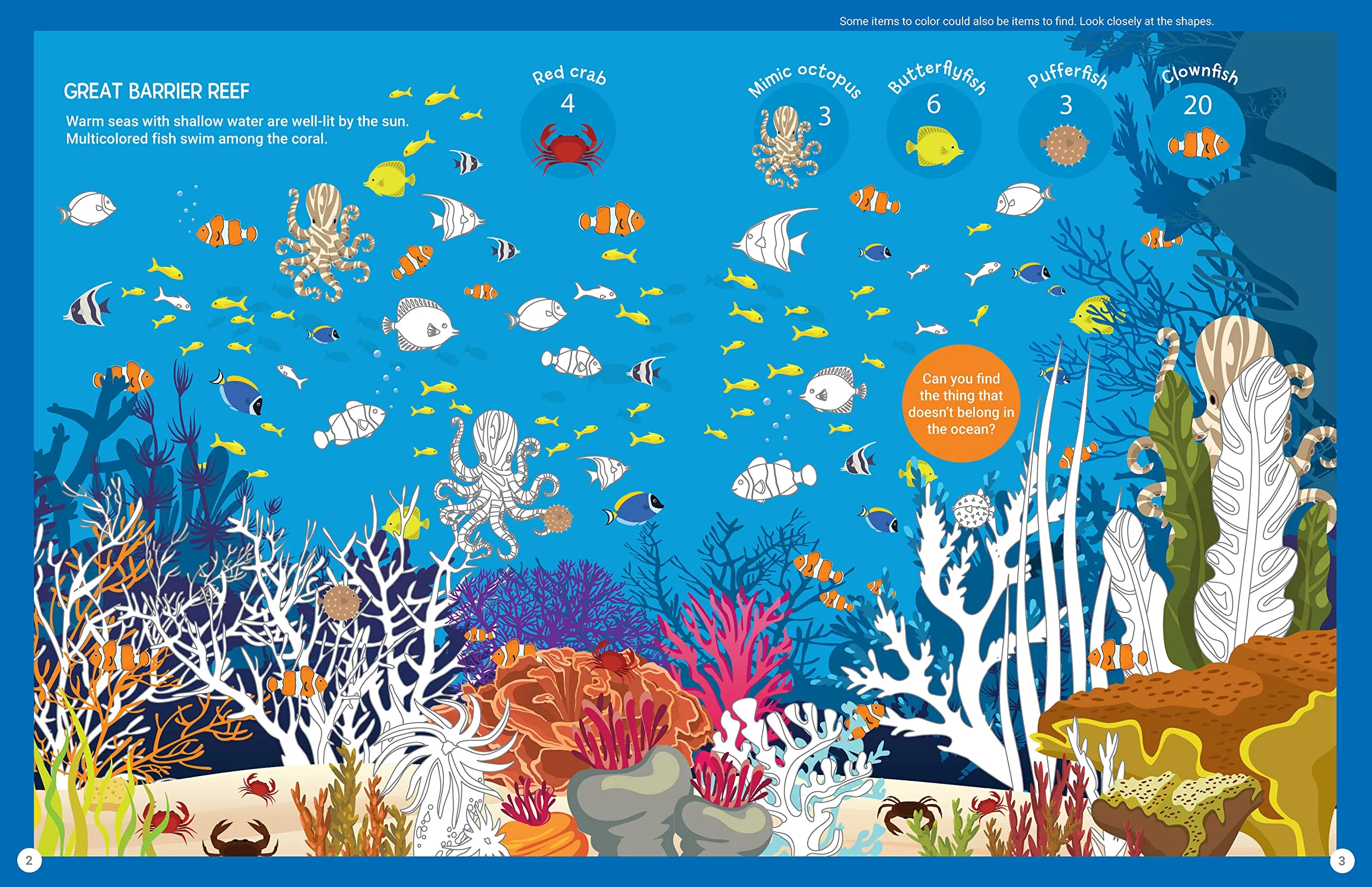 giant seek, find   colour | book