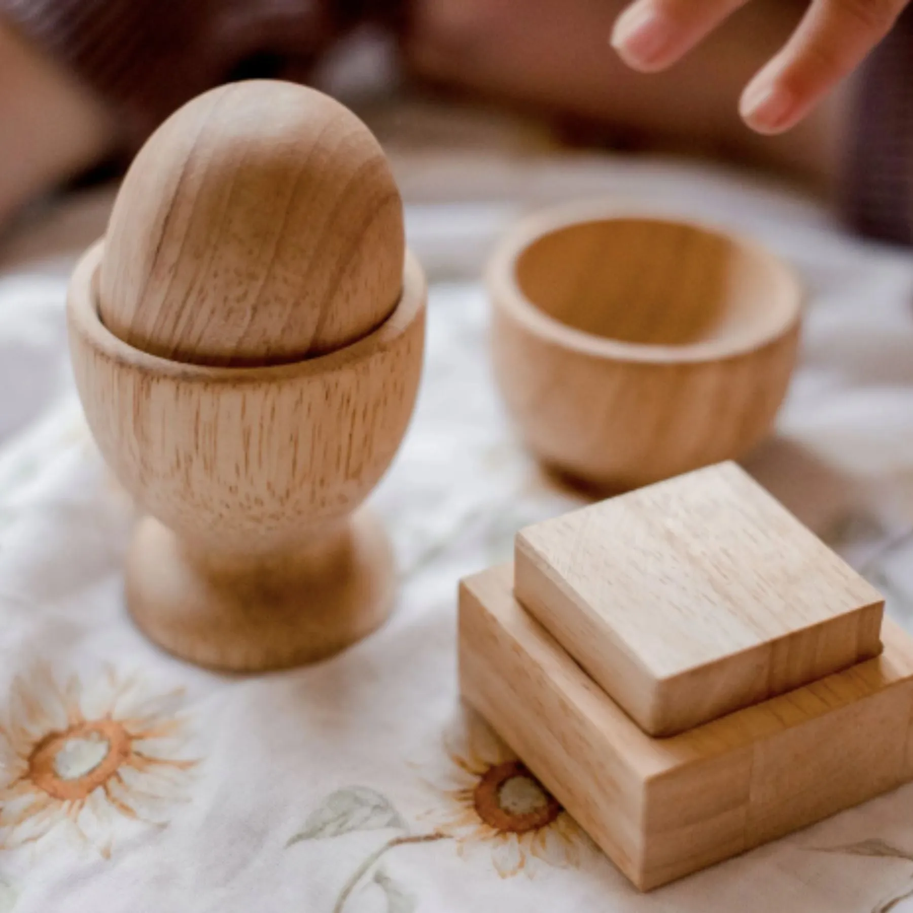 Montessori Egg, Ball   Cut Set