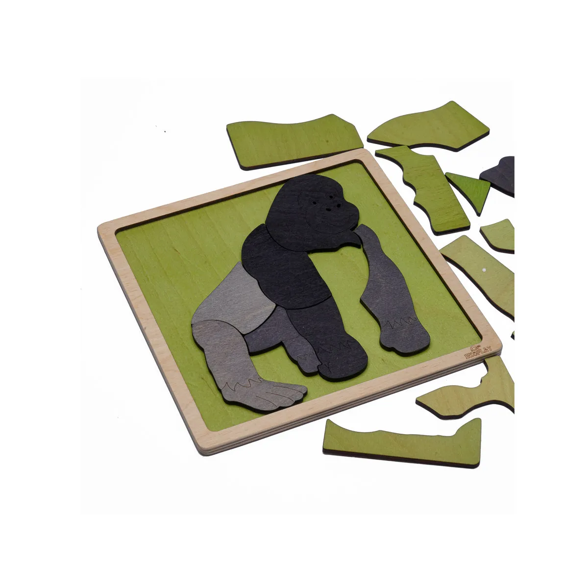 Mountain Gorilla