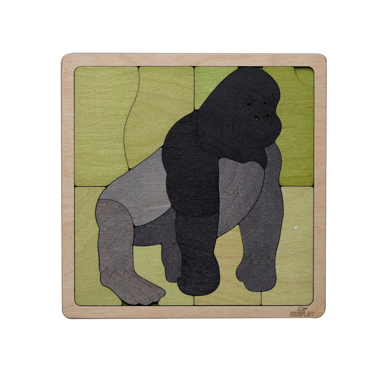 Mountain Gorilla