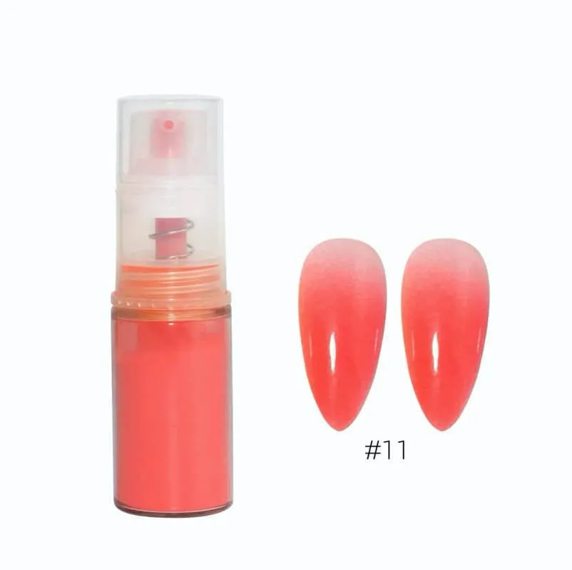 Ombre Pigment Powder Colour Spray