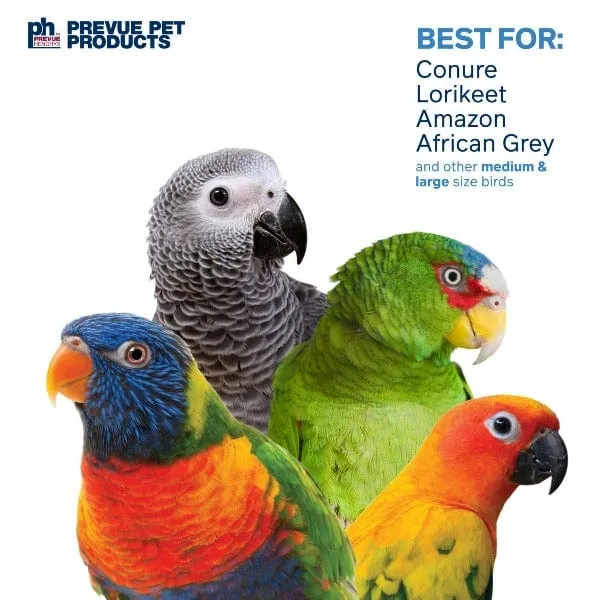 Prevue Pet Products Block Rock Bird Toy